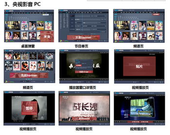 2015年央視新媒體廣告價格發(fā)布與企業(yè)形象策劃策略
