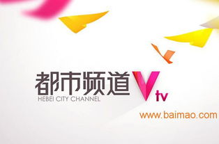 海王廣告 專(zhuān)業(yè)鑄就卓越，精準(zhǔn)賦能河北電視臺(tái)廣告優(yōu)勢(shì)發(fā)布